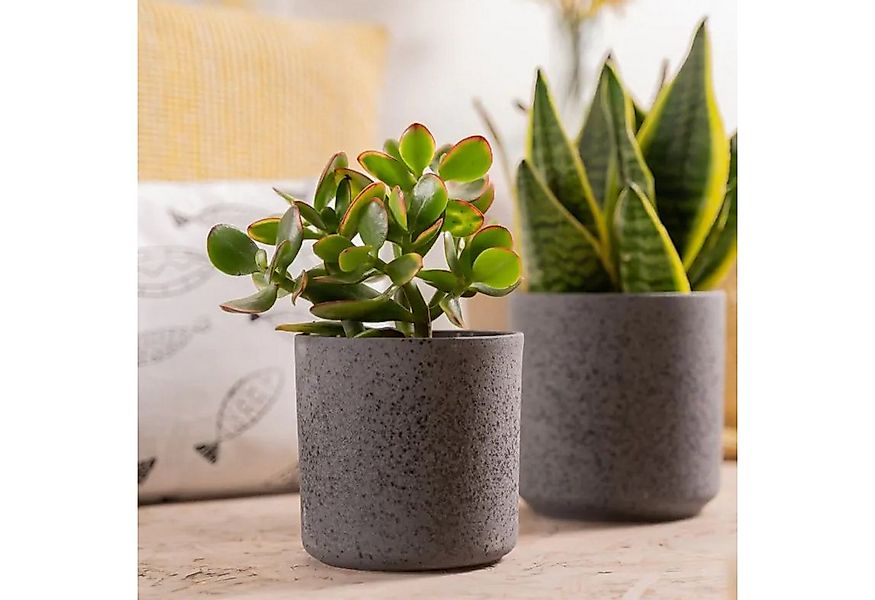 Hakbijl Glass Blumentopf Keramiktöpfe, Farbe: Schwarz, Motiv: Gesprenkelt günstig online kaufen