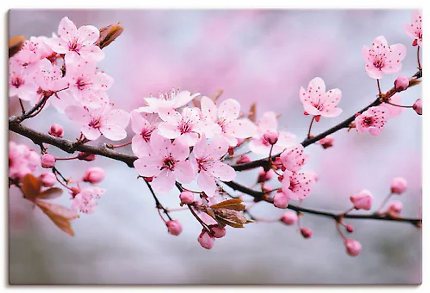 Artland Wandbild »Kirschblüten« 1 Stk. tlg. als Alubild, Outdoorbild, Leinw günstig online kaufen