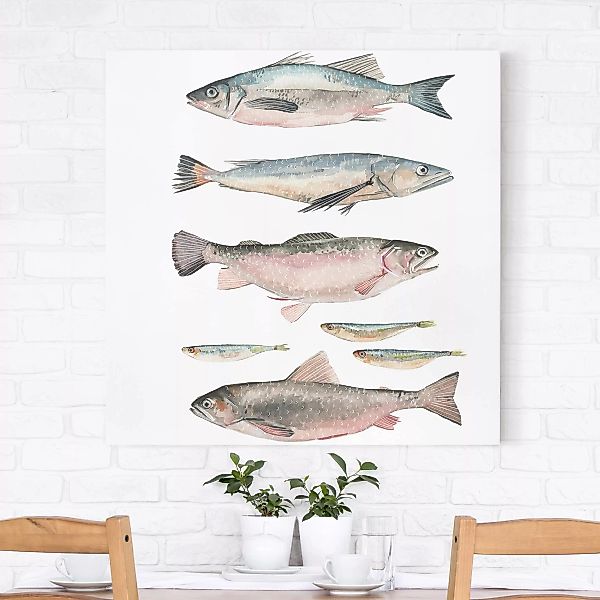 Leinwandbild Tiere - Quadrat Sieben Fische in Aquarell I günstig online kaufen