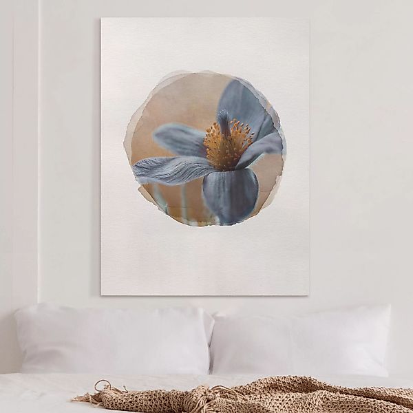 Leinwandbild Blumen - Hochformat Wasserfarben - Kuhschelle in Blau günstig online kaufen