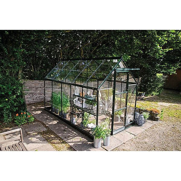 Halls Gewächshaus Icon 6 Grün 6,1 m² günstig online kaufen