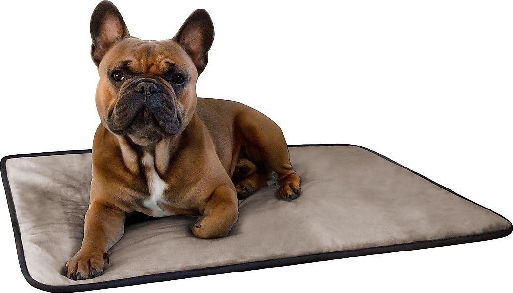 Aspero Hundematte Hundedecke Lund, 50 % günstig online kaufen