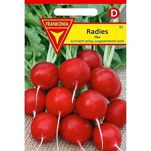 FRANKONIA Radies Ilka Kleinpackung günstig online kaufen