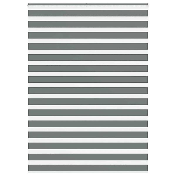 vidaXL Doppelrollo Dunkelgrau 165x200 cm Stoffbreite 160,9 cm Polyester 401 günstig online kaufen