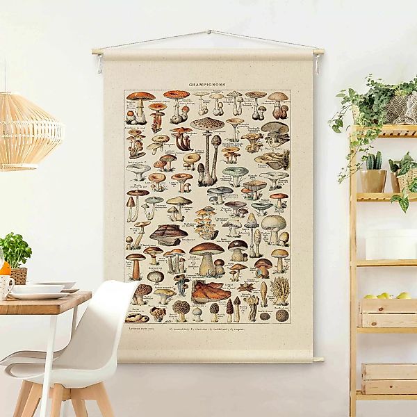 Wandteppich Vintage Lehrtafel Pilze günstig online kaufen