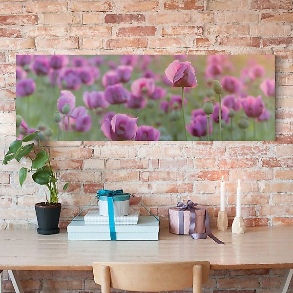 Leinwandbild Blumen - Quadrat Violette Schlafmohn Blumenwiese im Frühling günstig online kaufen