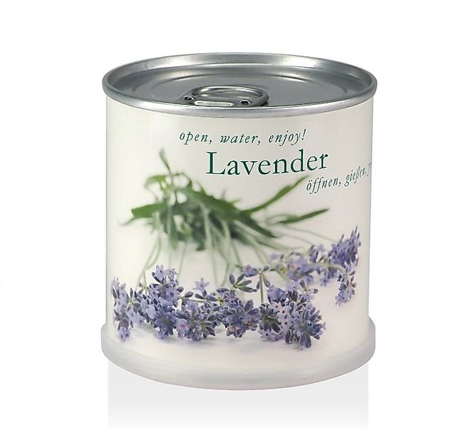 MacFlowers® Anzuchttopf Lavendel - Blumen in günstig online kaufen