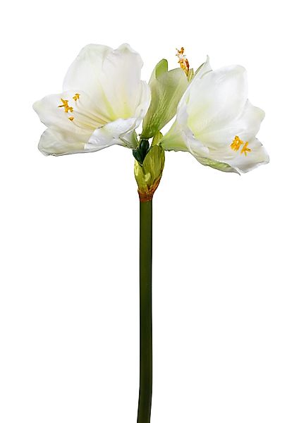 Kunstblume Amaryllis Real Touch 68cm GA günstig online kaufen