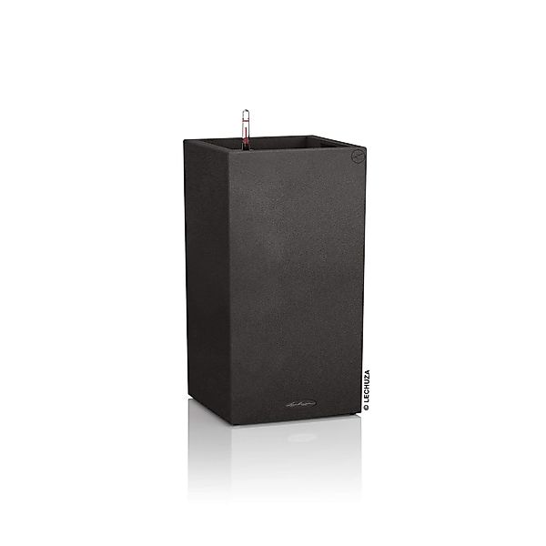 Lechuza Pflanzgefäß Canto Stone high 30 Graphitschwarz 30 cm x 56 cm günstig online kaufen