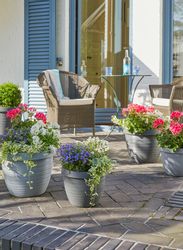 Scheurich Blumentopf 48/270 COUNTRY STAR 48 günstig online kaufen