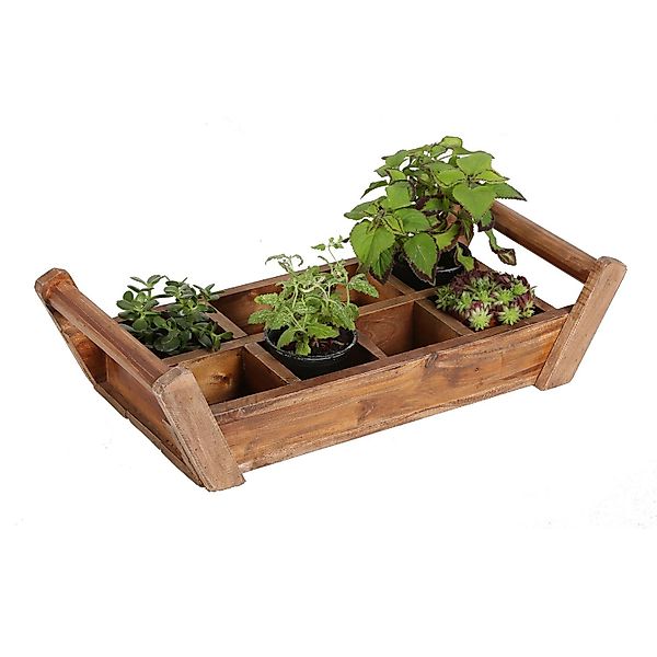 Casa Moro Kräuterbeet Pflanzenbox Gaia Kräuterkasten günstig online kaufen