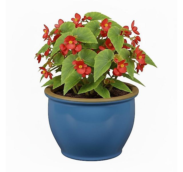 Teramico Pflanzkübel Blumentopf Pflanzgefäß aus Keramik Modell "Roma" 38cm günstig online kaufen