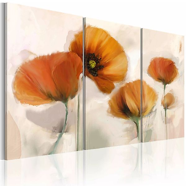 Wandbild - Kunstvolle Mohnblumen - Triptychon günstig online kaufen