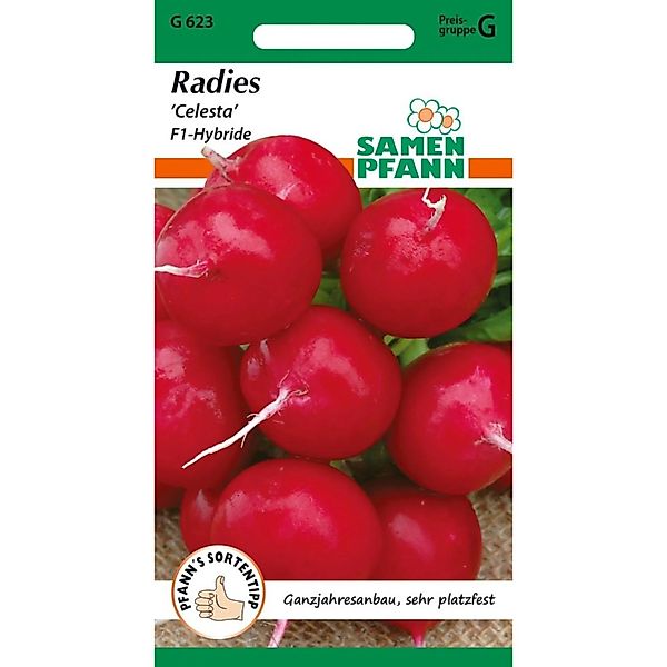 SAMEN PFANN Radies Celesta F1 Kleinpackung günstig online kaufen