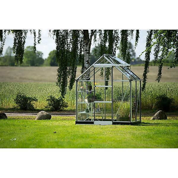 Halls Gewächshaus Icon 6 Alu 2,5 m² günstig online kaufen