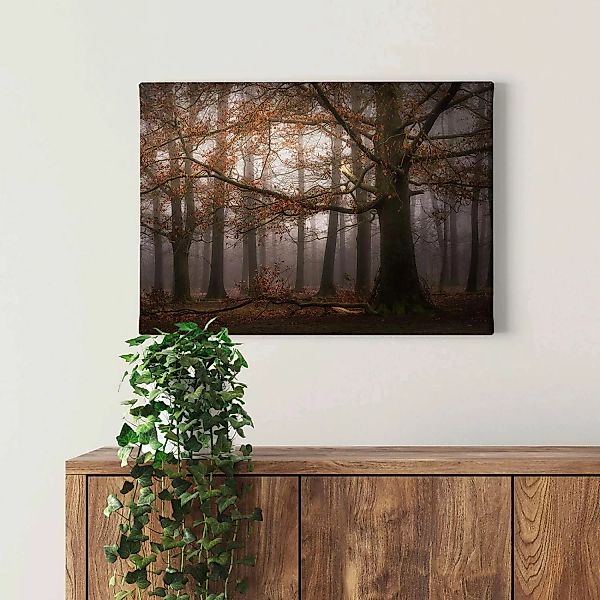 Bricoflor Herbstwald Bild In Braun Und Schwarz Landschaft Leinwand Bild Mit günstig online kaufen