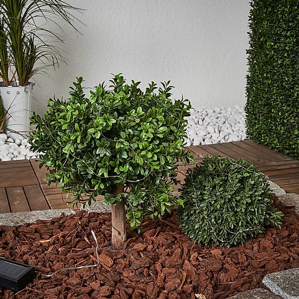 STAR TRADING LED-Lichterkette LED Solar Lichterkette Tautropfen Dew Drop 50 günstig online kaufen