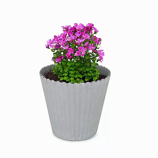 matches21 HOME & HOBBY Blumentopf Blumen-Topf günstig online kaufen