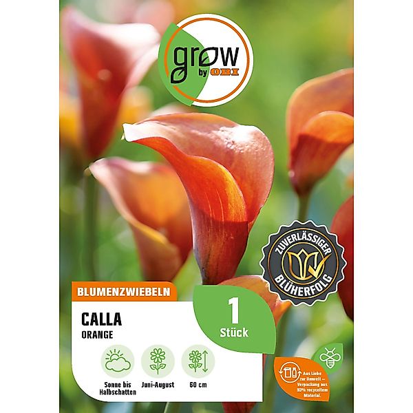 GROW by OBI Calla Zantedeschia Orange Höhe ca. 60 cm günstig online kaufen