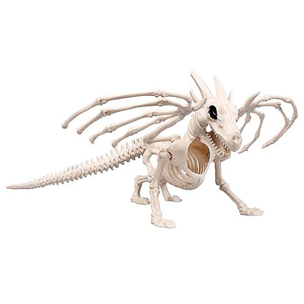 Boland Dekoobjekt Skelett Tier Drache 13 günstig online kaufen