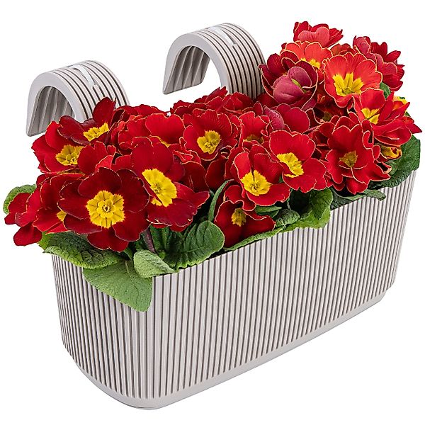 KONZEPT Balkonkasten Blumenkasten mit Halterung – günstig online kaufen