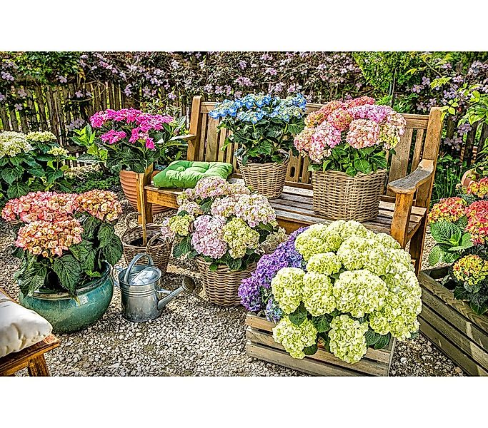 Dehner Blumentopf Gießkanne nostalgisch, 9 l, günstig online kaufen