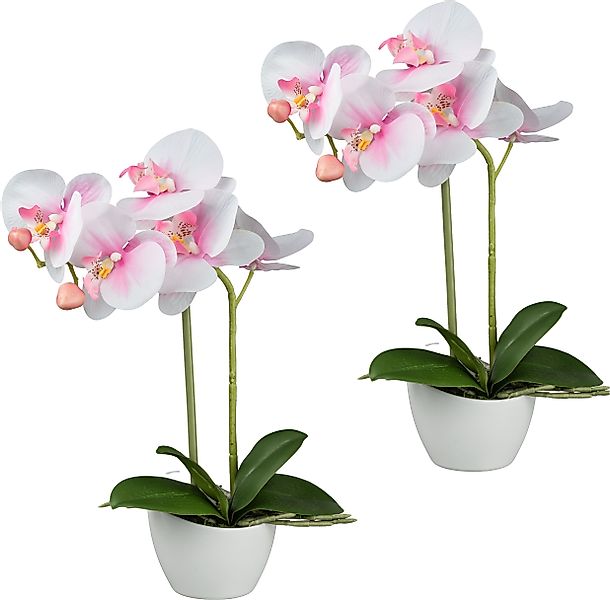 Kunstorchidee Orchidee Phalaenopsis, Creativ green, Höhe günstig online kaufen