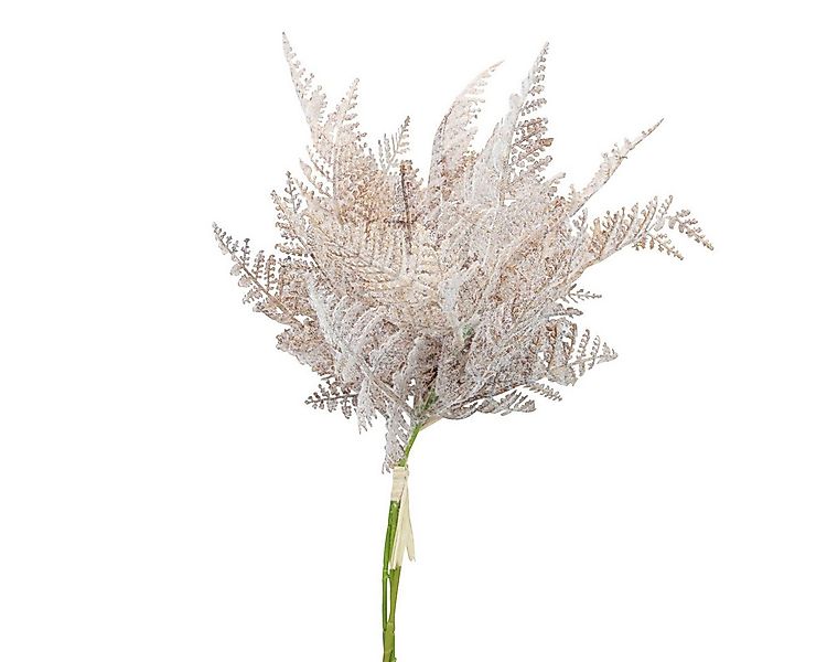 Winterliche Kunstpflanze Künstlicher Farn Weiß Braun 72cm Deko Winter 3 St, günstig online kaufen