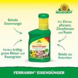 Neudorff Pflanzenstärkungsmittel Ferramin Eisendünger 250 ml günstig online kaufen