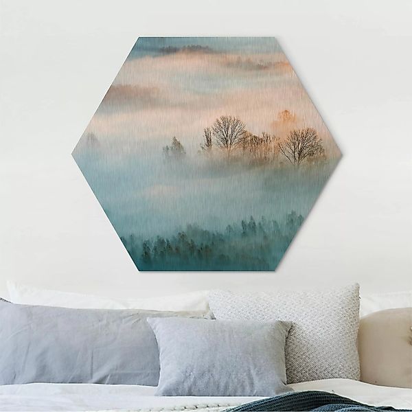 Hexagon-Alu-Dibond Bild Natur & Landschaft Nebel bei Sonnenaufgang günstig online kaufen