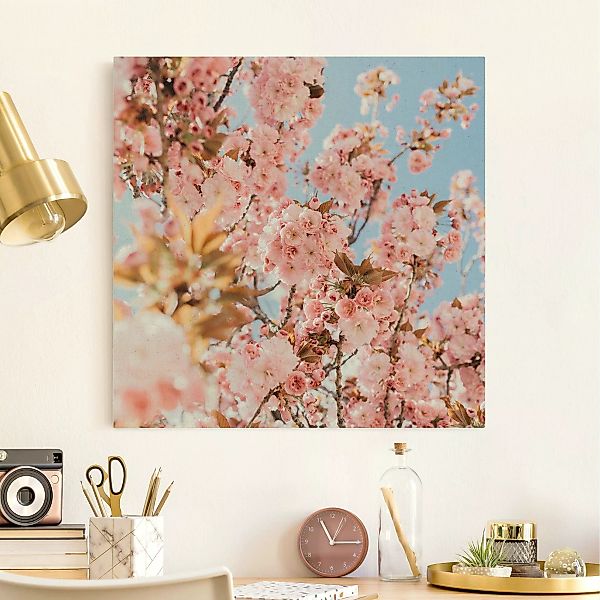 Leinwandbild auf Naturcanvas Rosa Kirschblütentraum günstig online kaufen