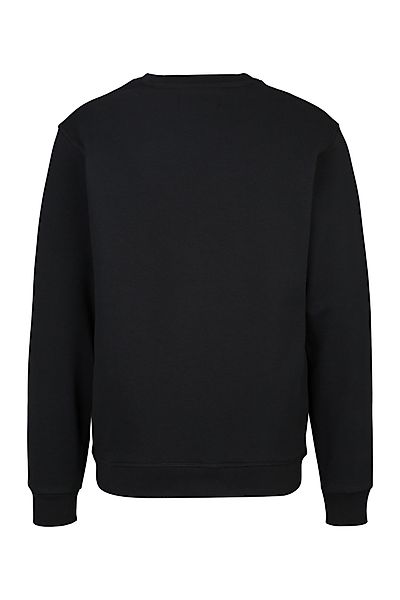 Replay Sweatshirt FRENCH TERRY COTTON-POLY günstig online kaufen