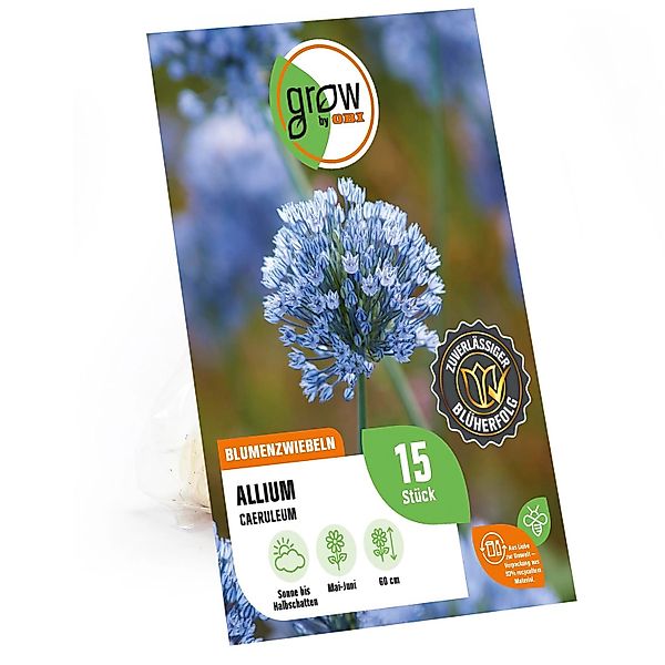 GROW by OBI Zierlauch Caeruleum 4/5 Blau 15 Stück Allium caeruleum günstig online kaufen