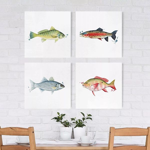 4-teiliges Leinwandbild Küche - Quadrat Farbfang - Fische Set I günstig online kaufen