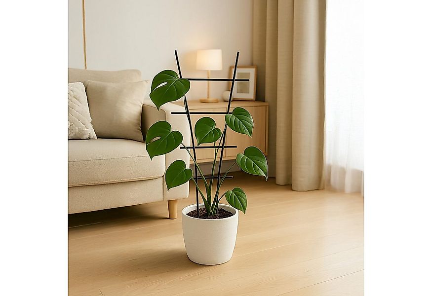 relaxdays Rankhilfe Pflanzenstütze Set aus Metall, 2 St., 2er Pack günstig online kaufen