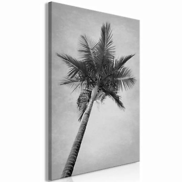 artgeist Wandbild High Palm Tree (1 Part) Vertical schwarz/weiß Gr. 40 x 60 günstig online kaufen