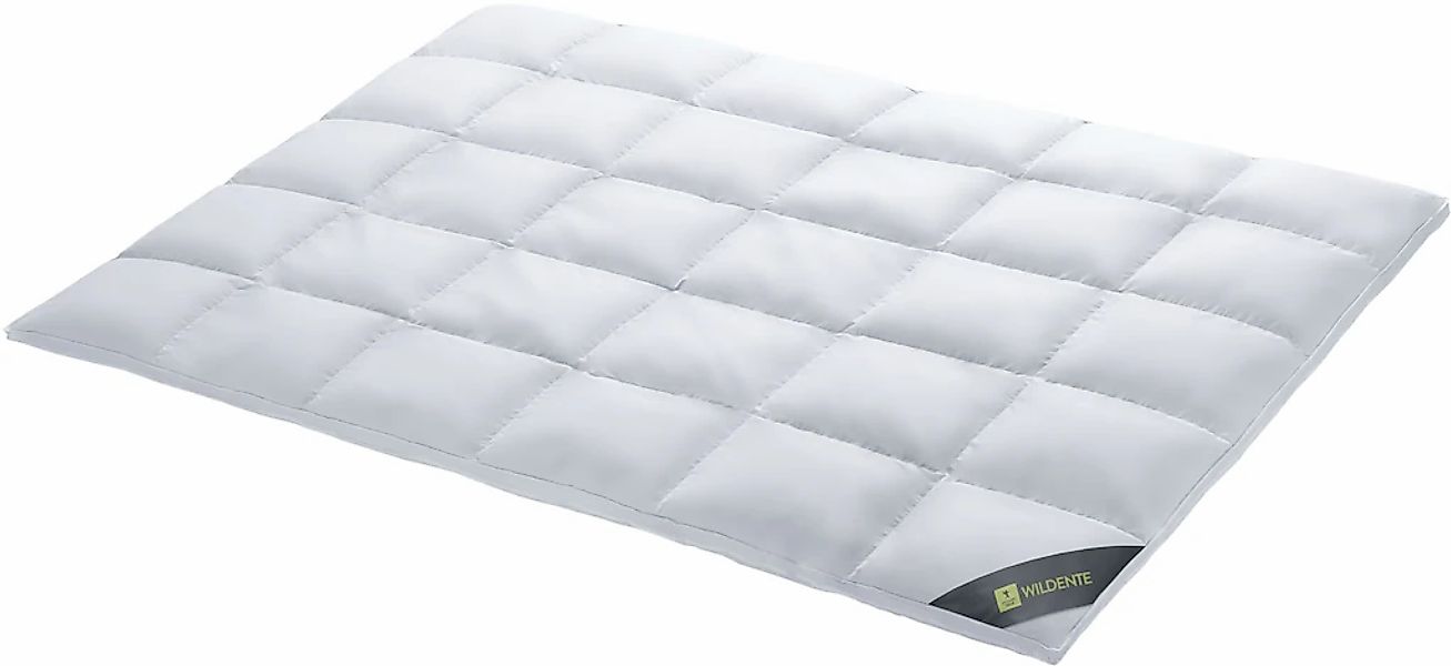 SPESSARTTRAUM Daunenbettdecke "Wildente Bettdecken 135x200cm & weitere Größ günstig online kaufen