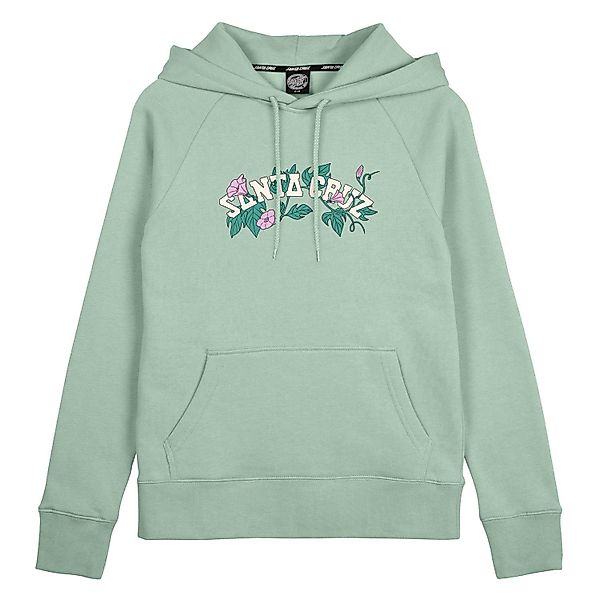 Santa Cruz Kapuzensweatshirt CLUSTER STRIP HOOD günstig online kaufen