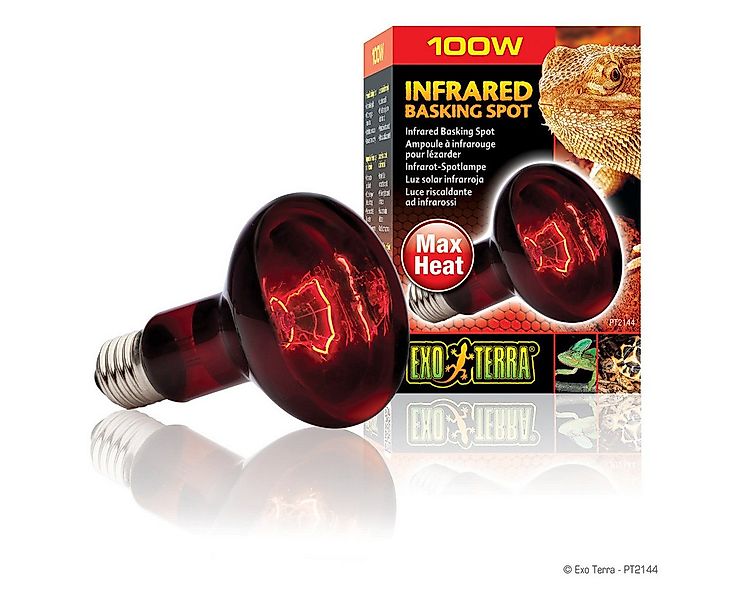 Exo Terra Terrarienleuchte Infrared Basking Spot - Infrarot-Spotlampe günstig online kaufen