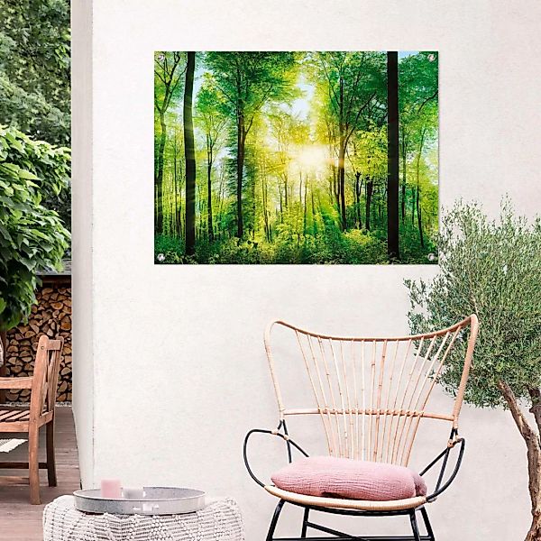 Reinders Poster "Sommerwald" günstig online kaufen