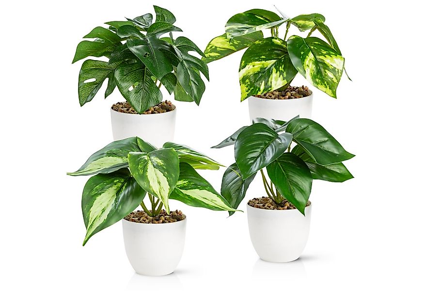 Künstliche Zimmerpflanze Kleine Kunstpflanzen & Künstliche Sukkulenten wie günstig online kaufen