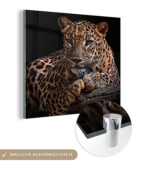 MuchoWow Acrylglasbild Wildtiere - Panther - günstig online kaufen