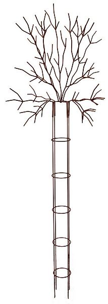 Lünemann Rankhilfe Rankhilfe Baum günstig online kaufen