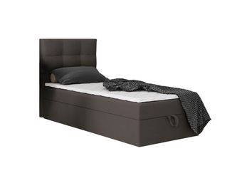 Godre Boxspringbett mit Bettkasten EWORA MINI günstig online kaufen