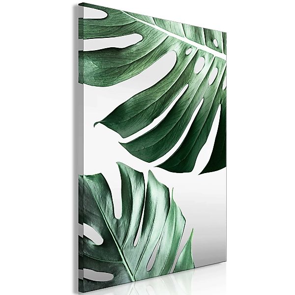 Wandbild - Monstera Leaves (1 Part) Vertical günstig online kaufen