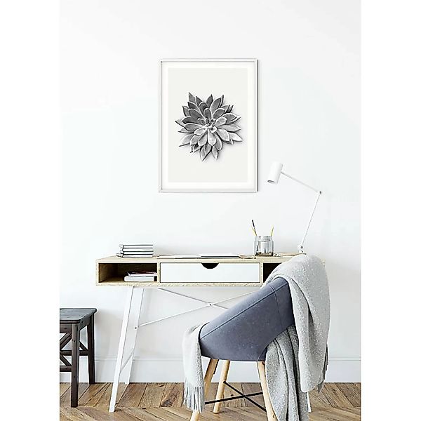 KOMAR Wandbild - Succulent Agave - Größe: 50 x 70 cm mehrfarbig Gr. one siz günstig online kaufen