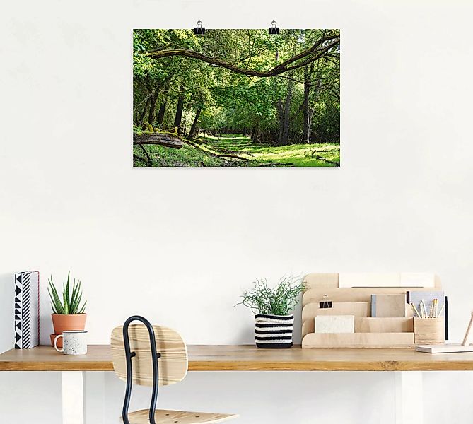 Artland Wandbild "Auf grünem Weg durch den grünen Wald", Wald, (1 St.) günstig online kaufen