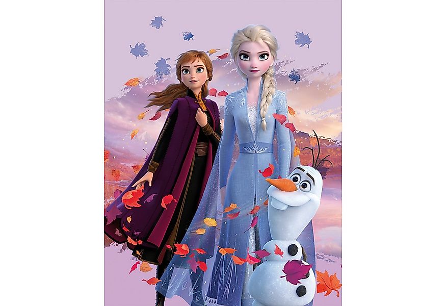 BERONAGE Kinderteppich Frozen Die Eiskönigin Dreamteam Spiel-Teppich 100x13 günstig online kaufen