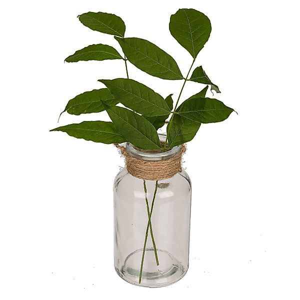 Out of the Blue Dekoobjekt Vase günstig online kaufen