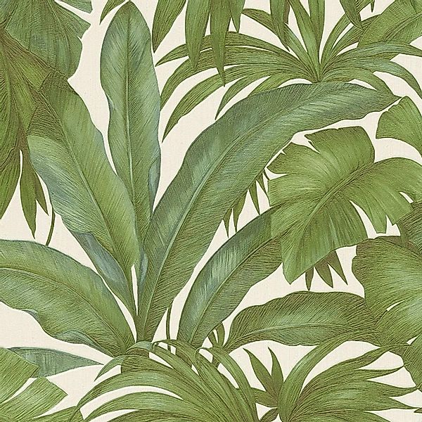 Bricoflor Exotische Tapete mit Palmenblättern in Grün und Creme Metallic Ta günstig online kaufen